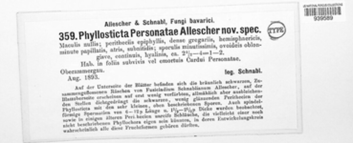 Asteromella personatae image